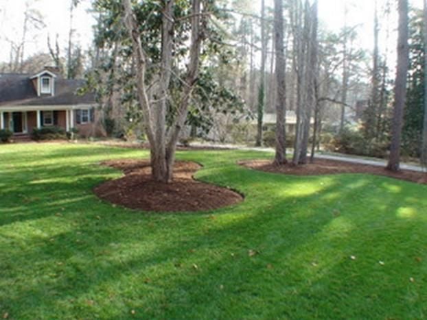 A happy customer of Landscape Logic Of North Carolina