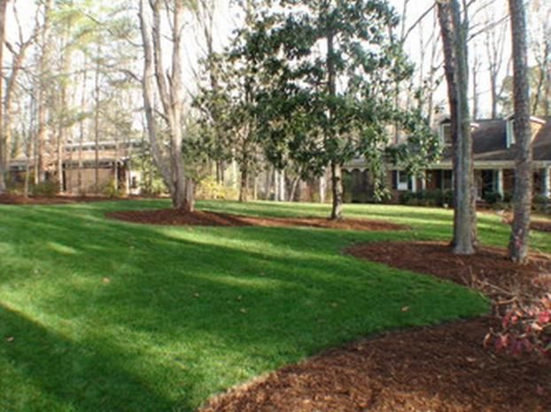 A happy customer of Landscape Logic Of North Carolina